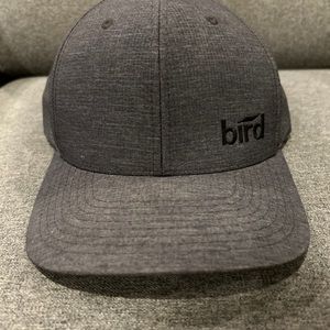 Bird construction hat